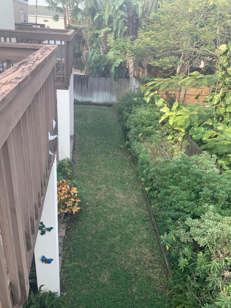 Balcony/Terrace, Garden view