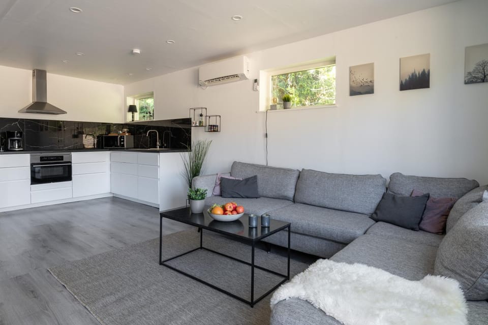 Living room, kitchen