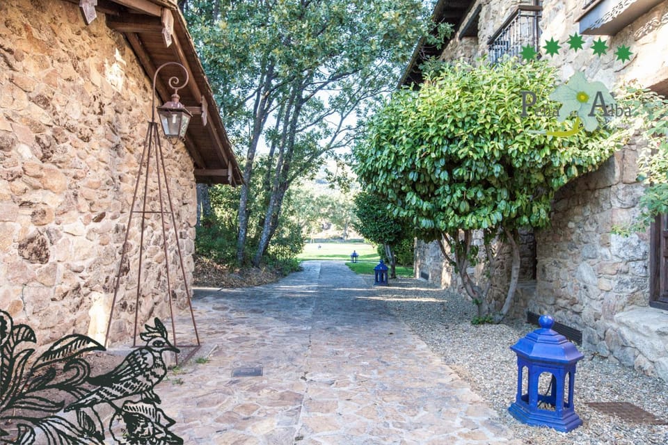 Patio, Garden