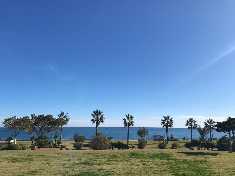 Garden, Sea view