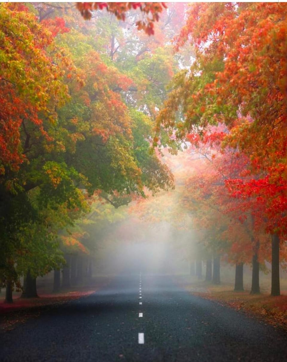 Natural landscape, Golfcourse, Horse-riding, Tennis court, Hiking, Cycling, Street view, Sunrise, wedding