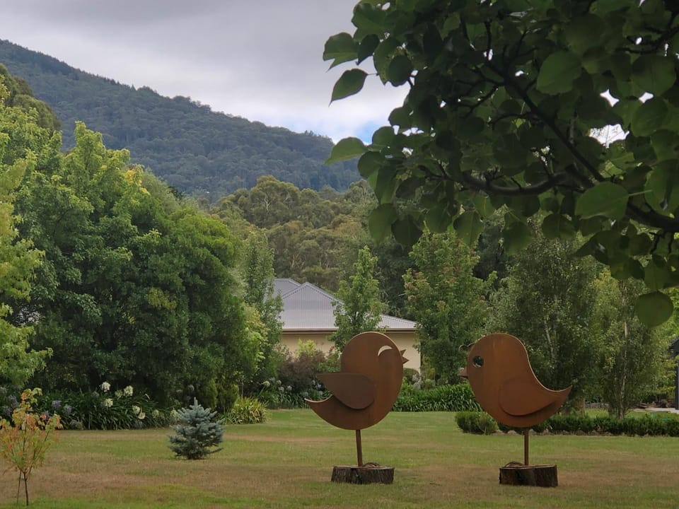 Property building, Garden, Garden, Garden view, Mountain view, wedding