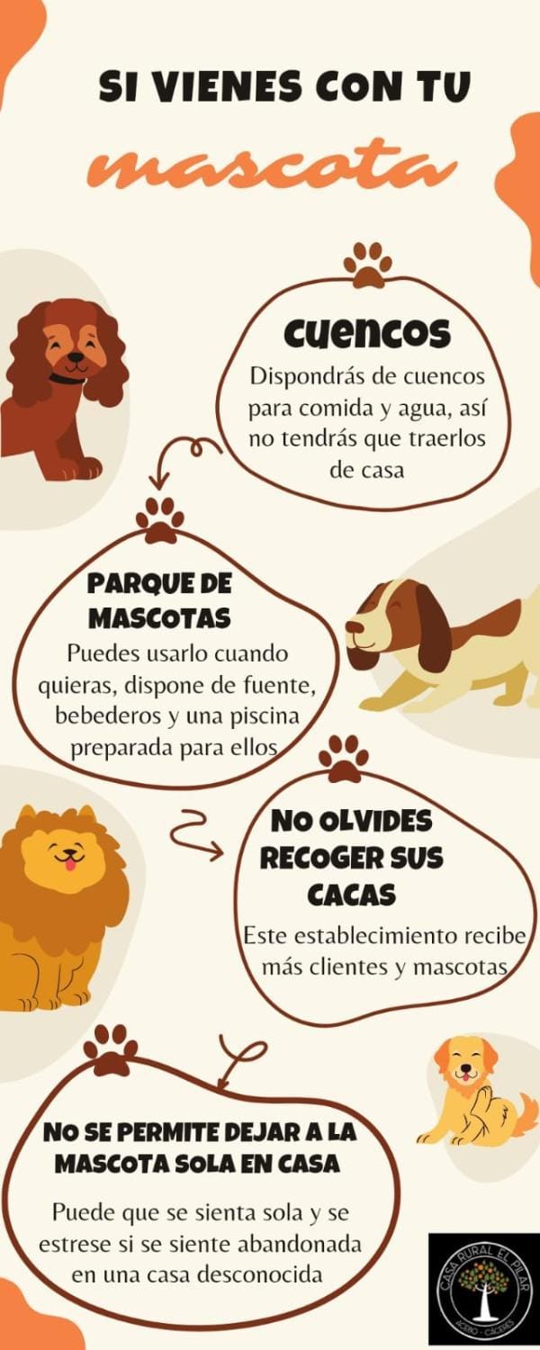 pet friendly