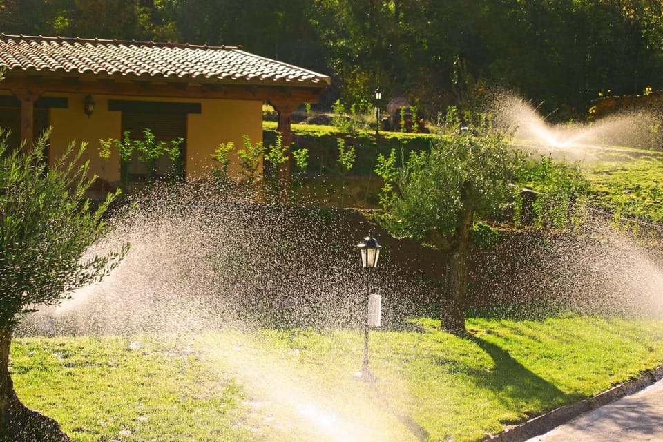 Garden, Garden