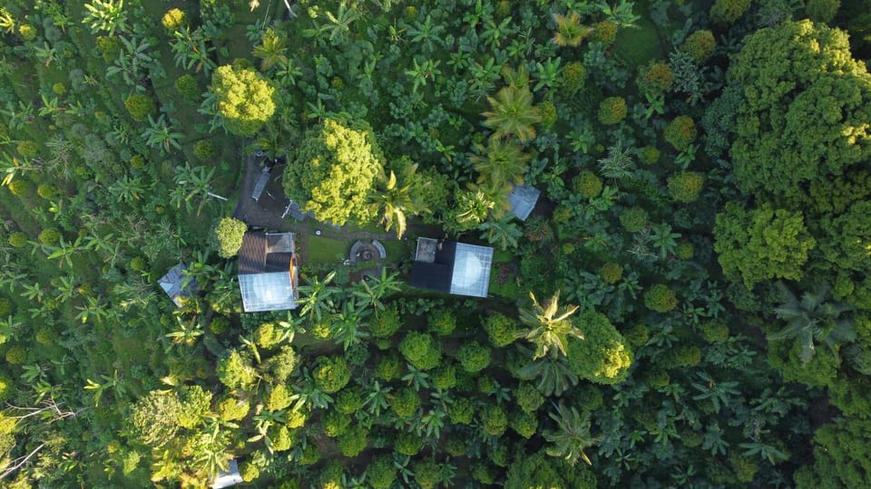 Natural landscape, Bird's eye view