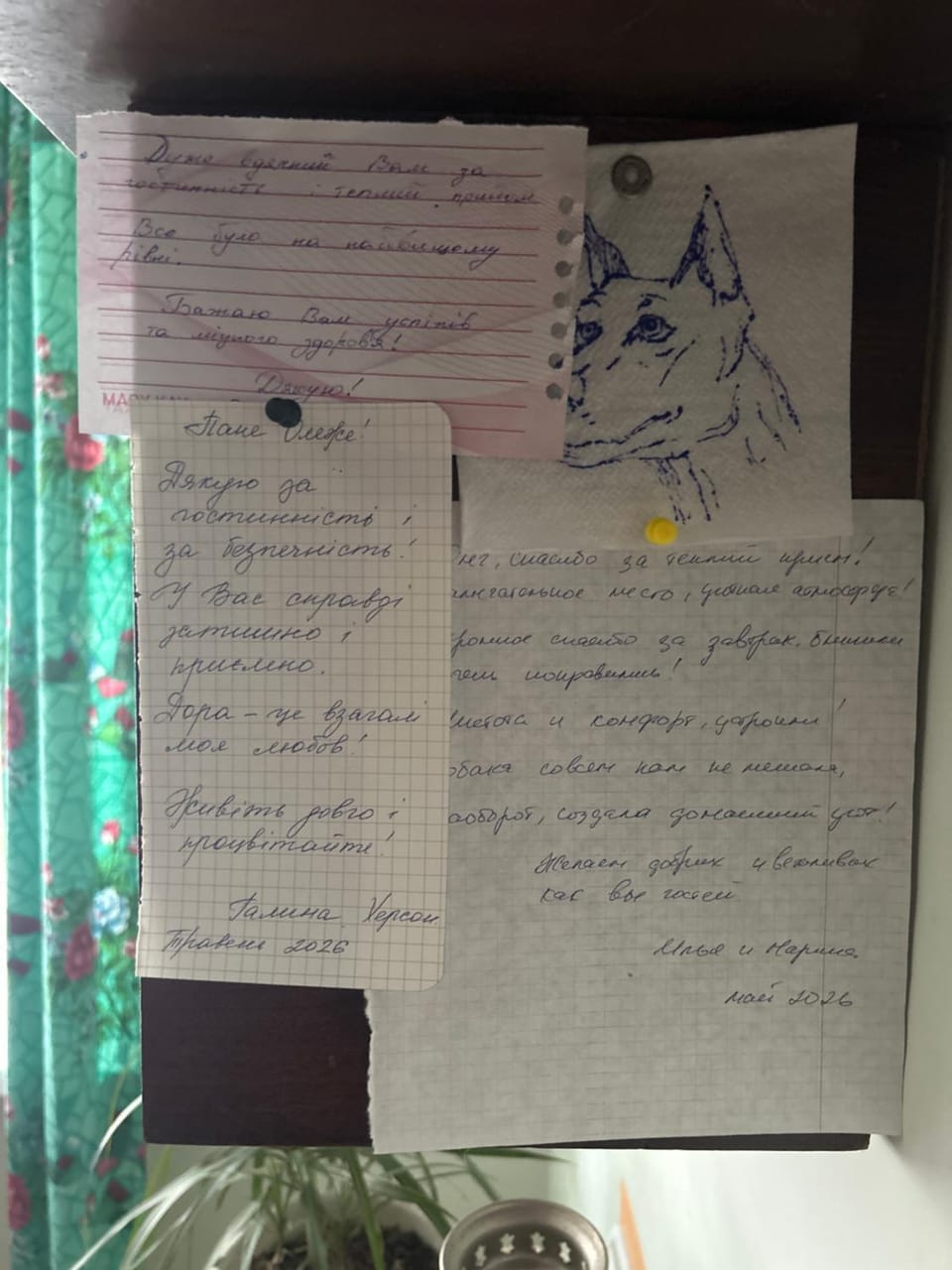 Очень Уютная, Тихая, Эко Комната С Видом На Сад Vacation rental in Ukraine