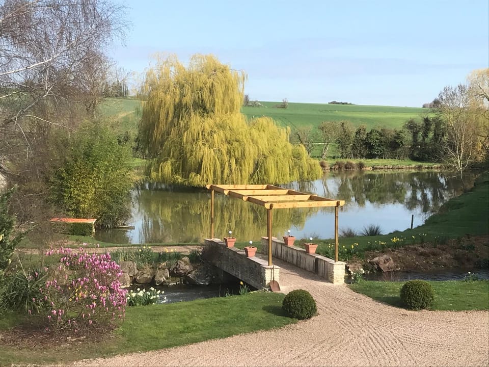 Lake view