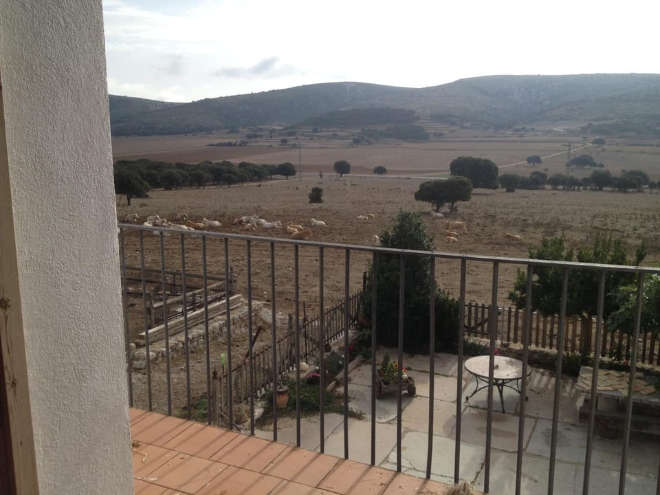 View (from property/room), Balcony/Terrace