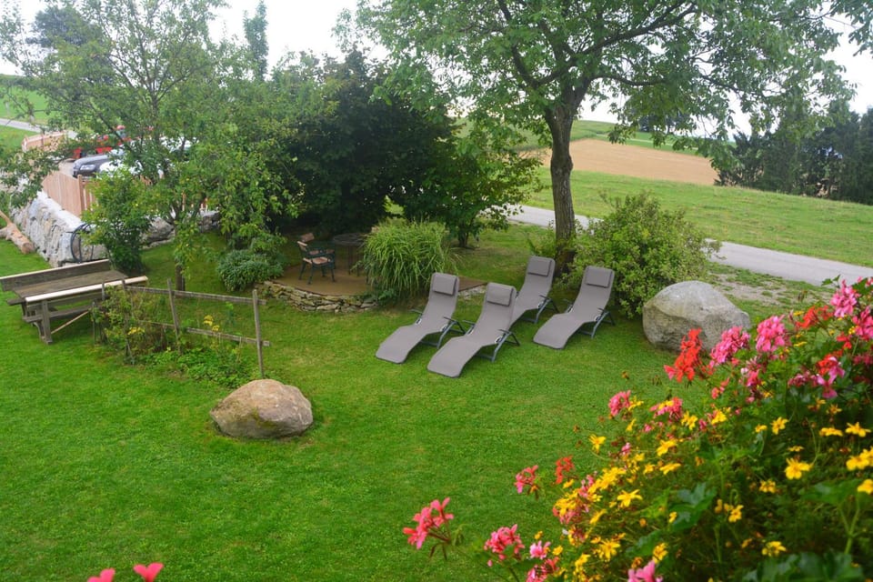 Garden, sunbed