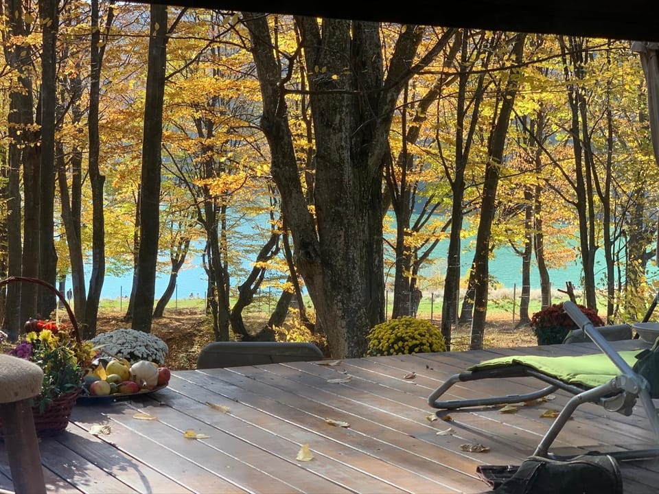 Patio, Garden, Balcony/Terrace, Lake view, Lake view