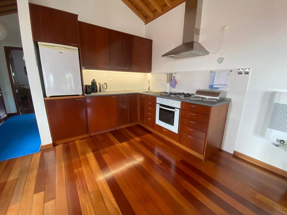 Kitchen or kitchenette, kitchen