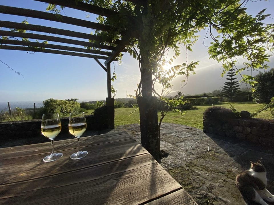 Garden, Sunset