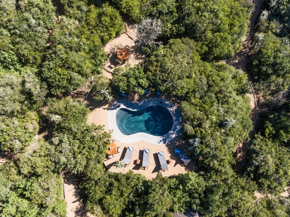 Bird's eye view, Swimming pool