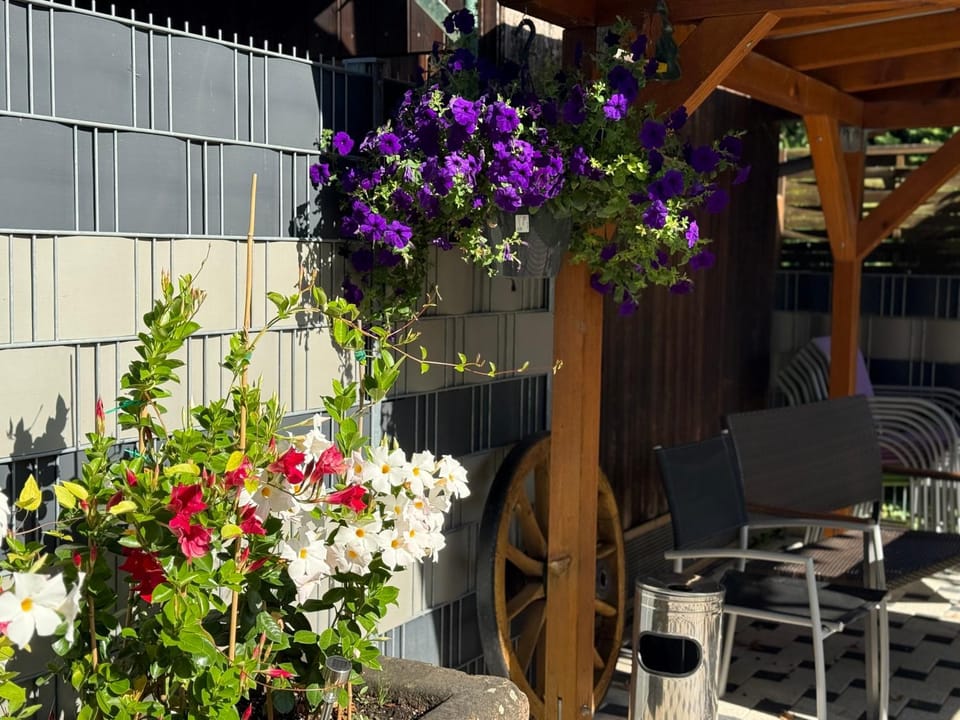 Spring, Garden