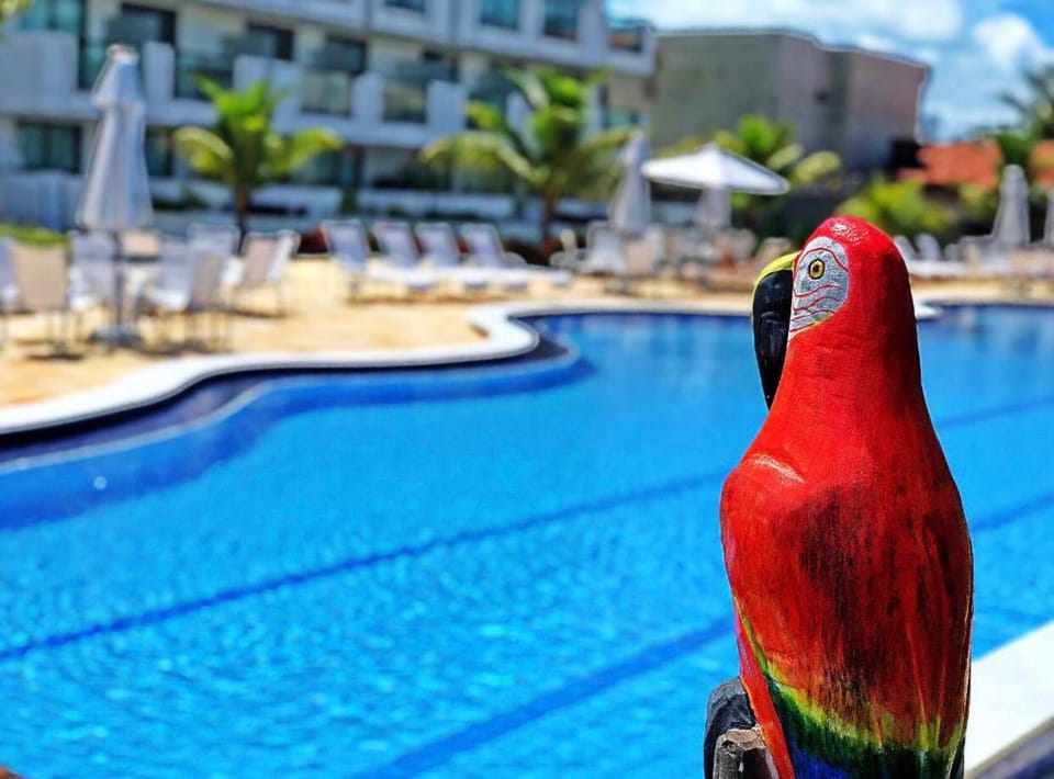 Pool view, Swimming pool