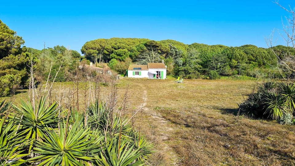 Natural landscape, Garden, Garden view