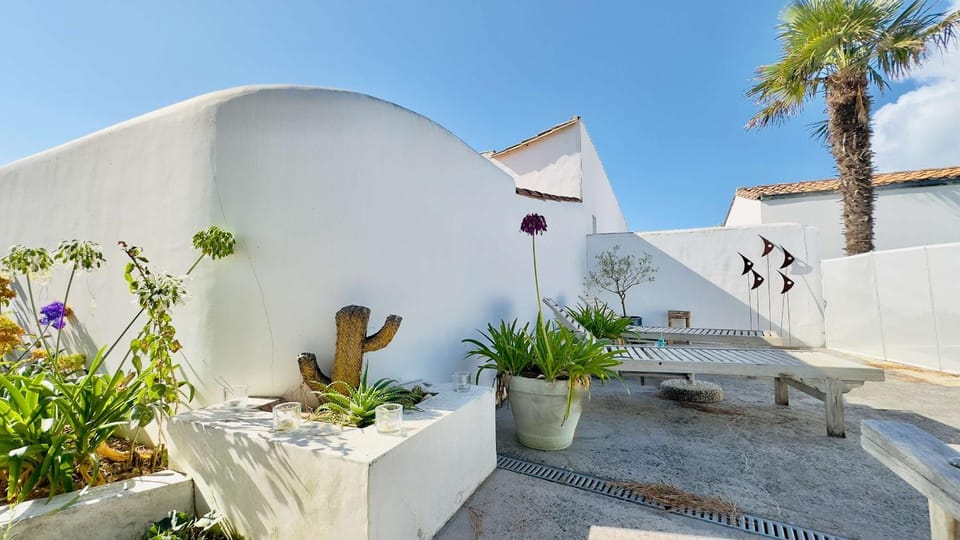 Patio, Garden, Garden view