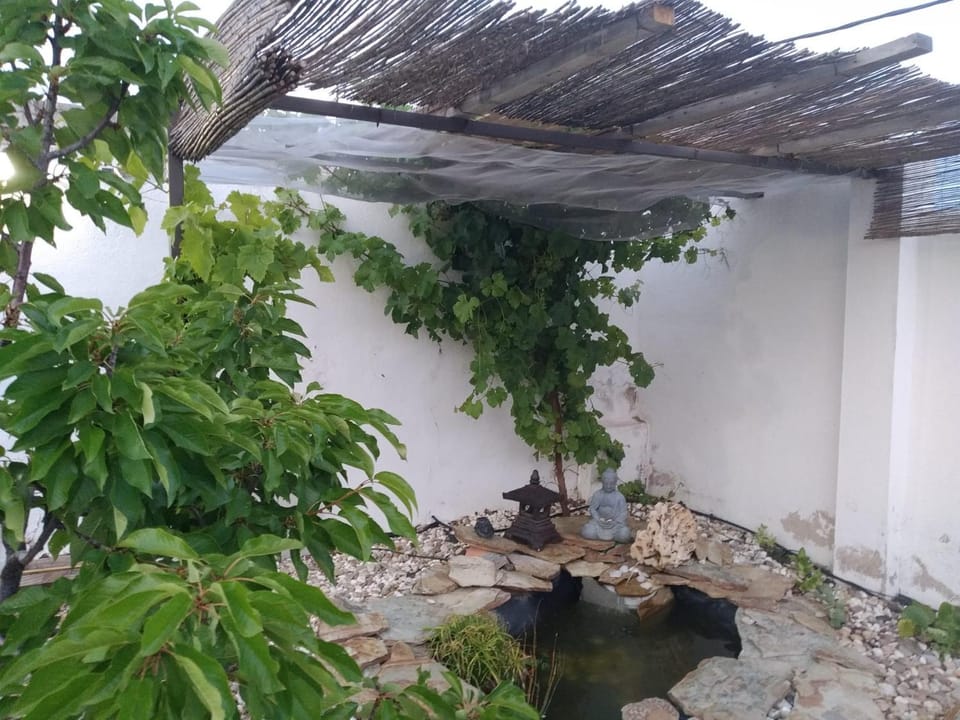 Granja Colibrí,con piscina House in Castile-La Mancha
