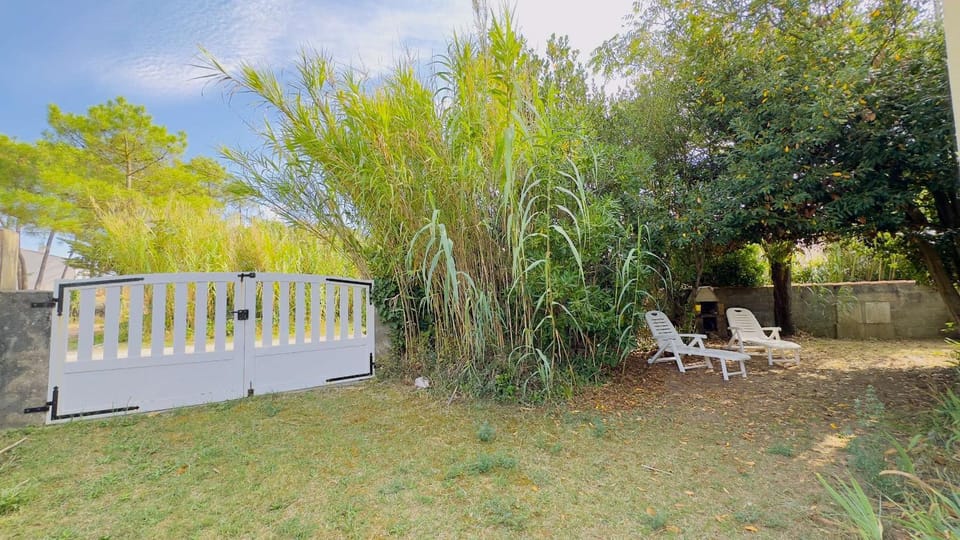 Garden, Garden view