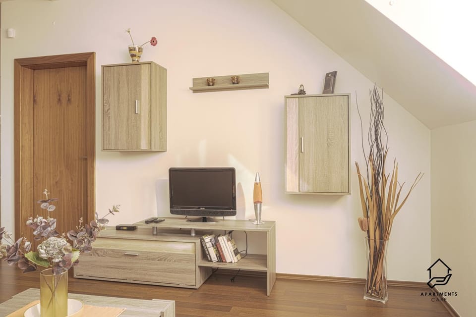 TV and multimedia