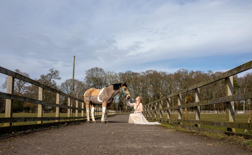 Langford farmhouse - New Forest National Park Luxury 4bd, hot tub, cinema, 10 acres House in New Forest District