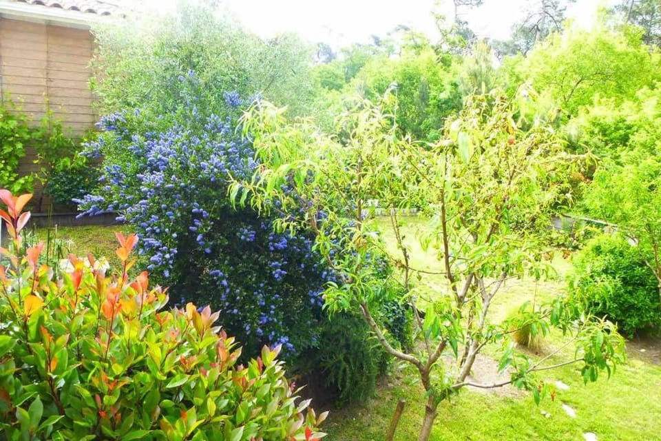Garden, Garden view