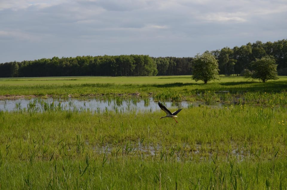 Natural landscape