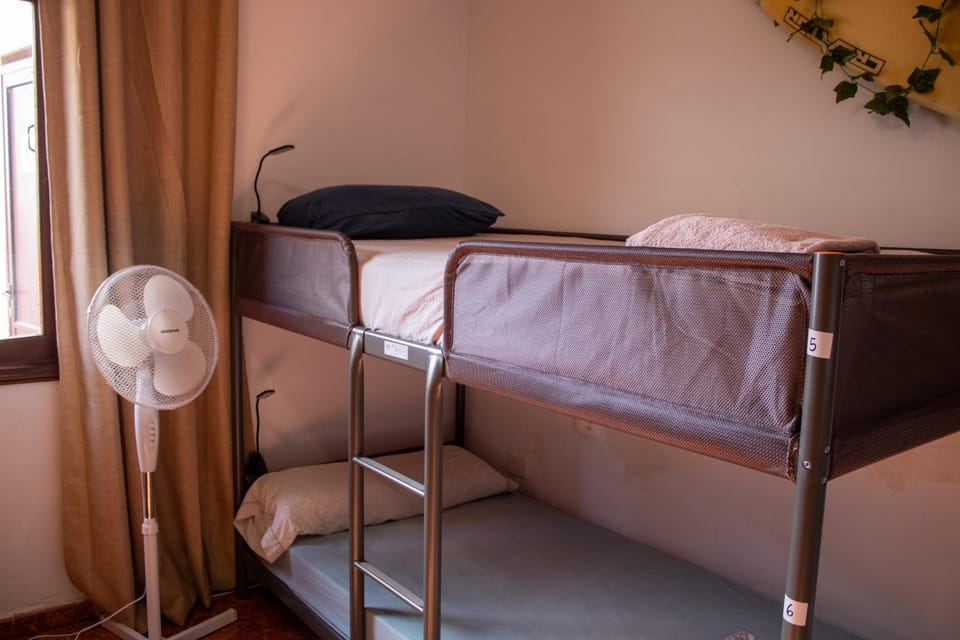 Bed, Photo of the whole room, Bedroom, bunk bed