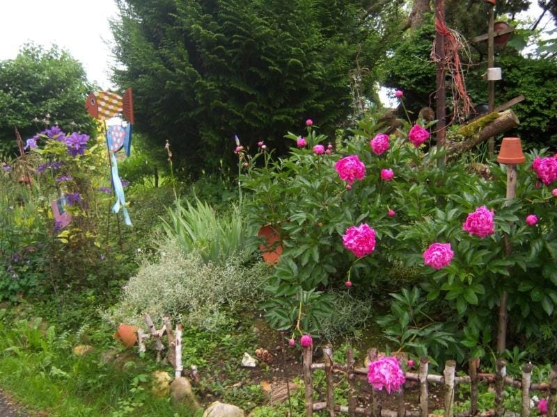 Irgenbauer Farm Stay in Salzburgerland