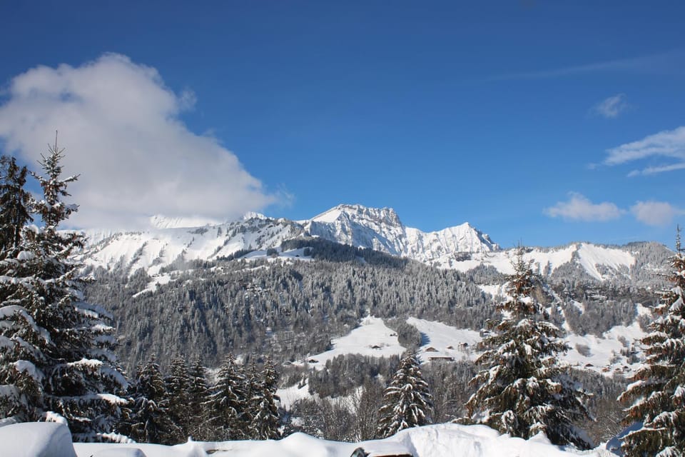Natural landscape, Winter, View (from property/room), Mountain view, Mountain view