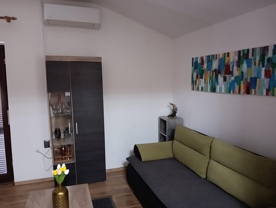 Living room, air conditioner