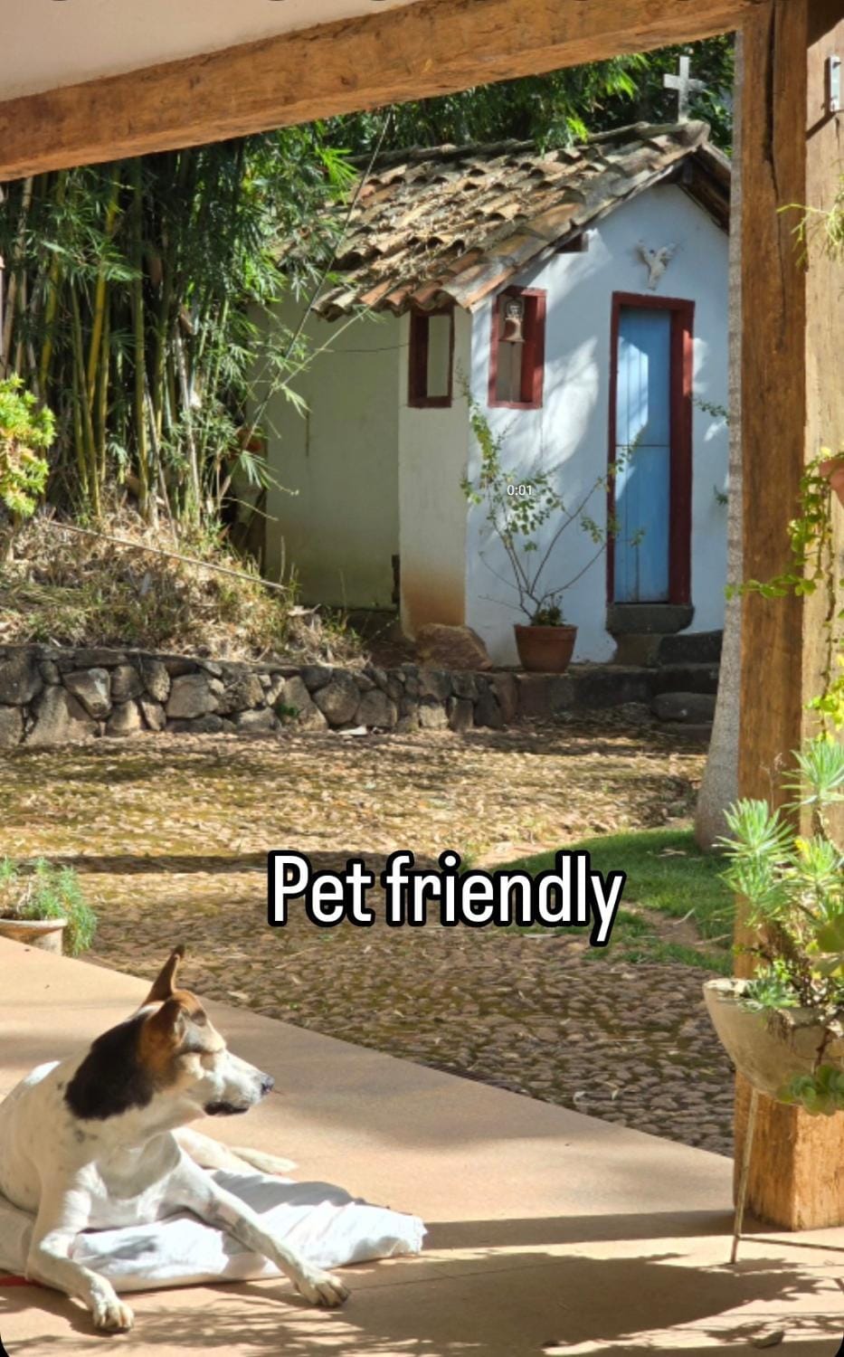 Guests, pet friendly