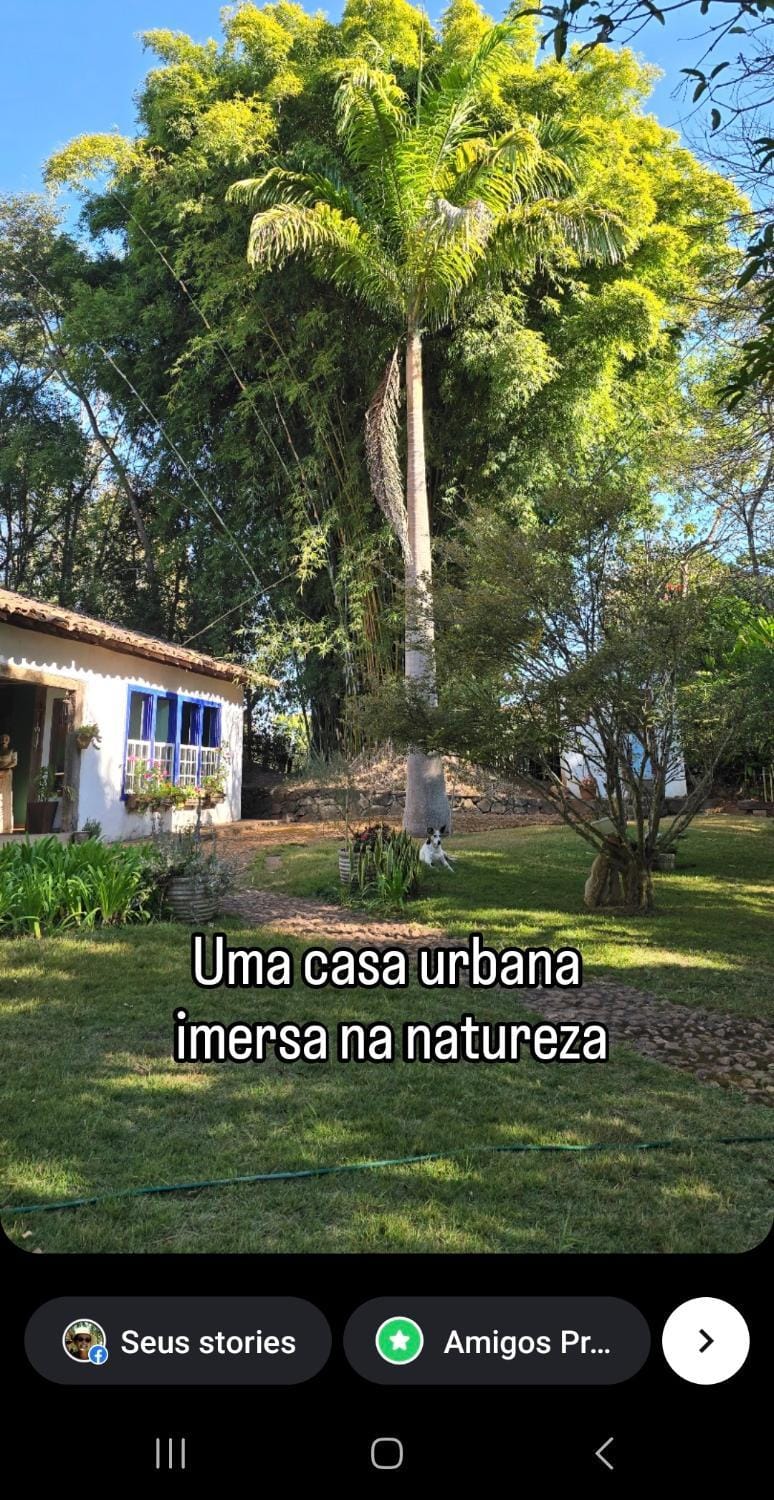 Property building, Garden, Garden view