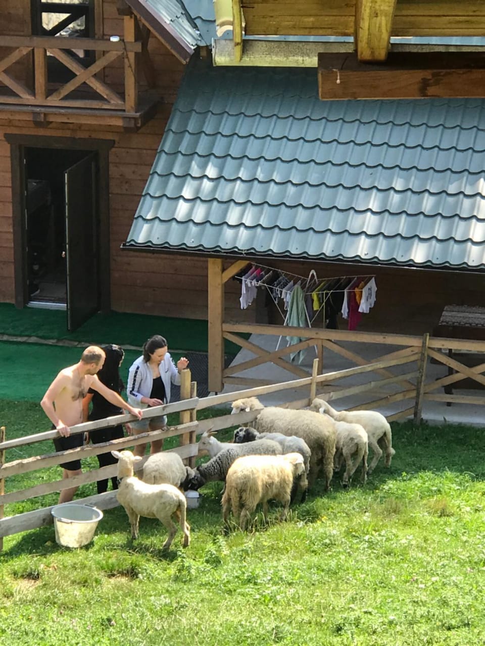 Трембіта котедж House in Ukraine