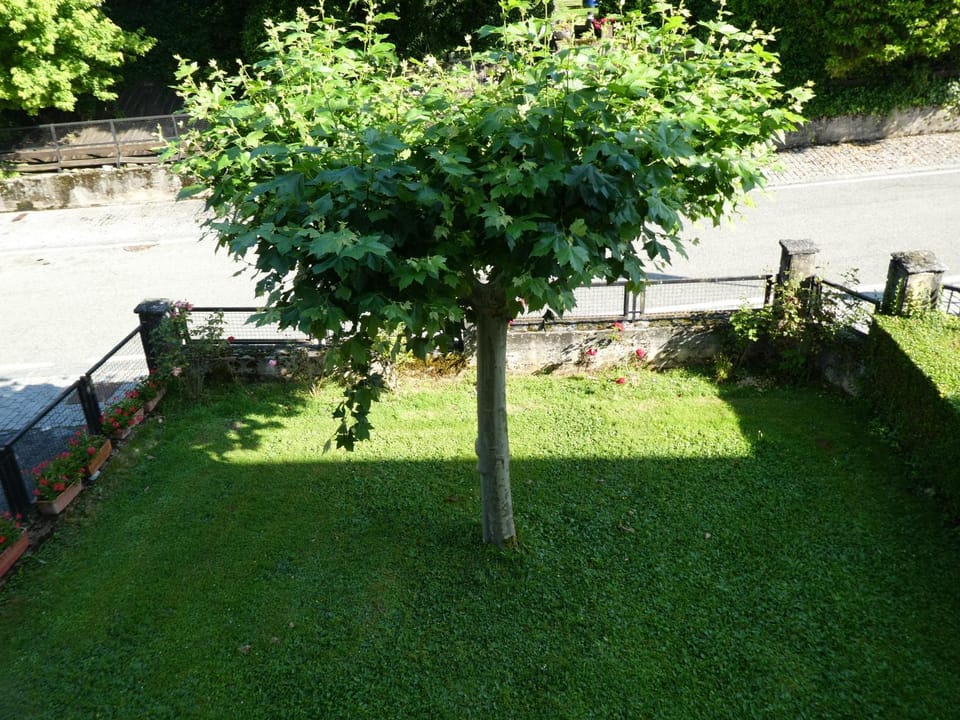 Garden, Garden view