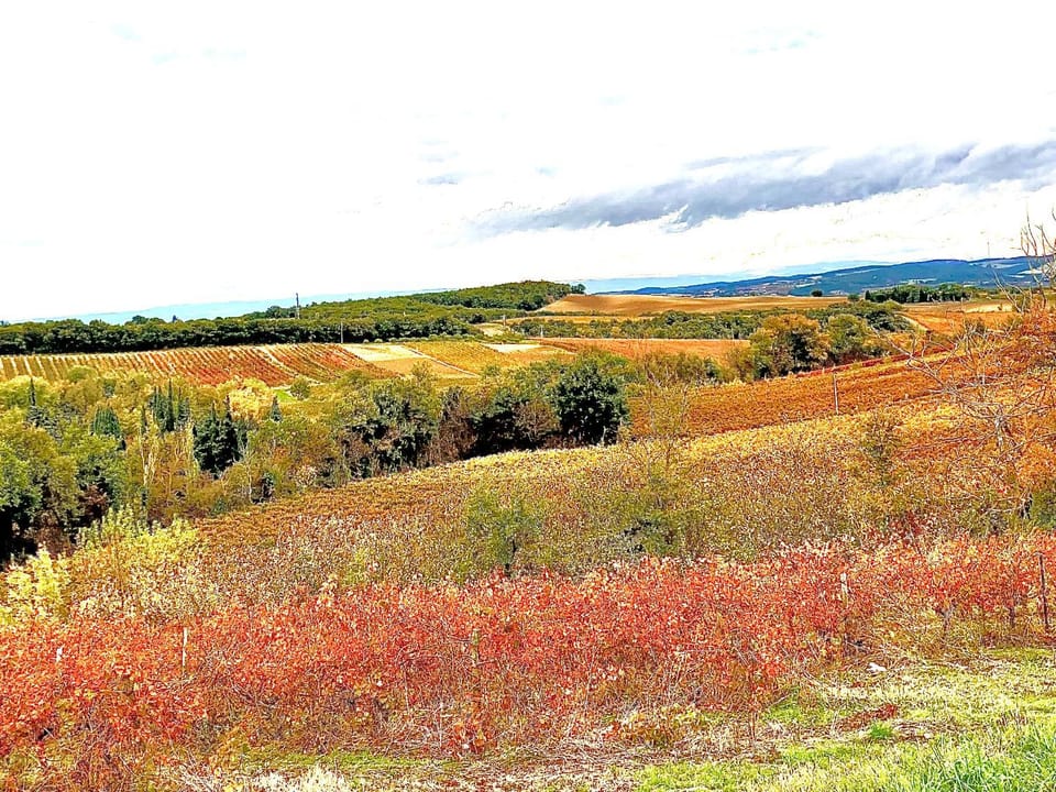 Natural landscape