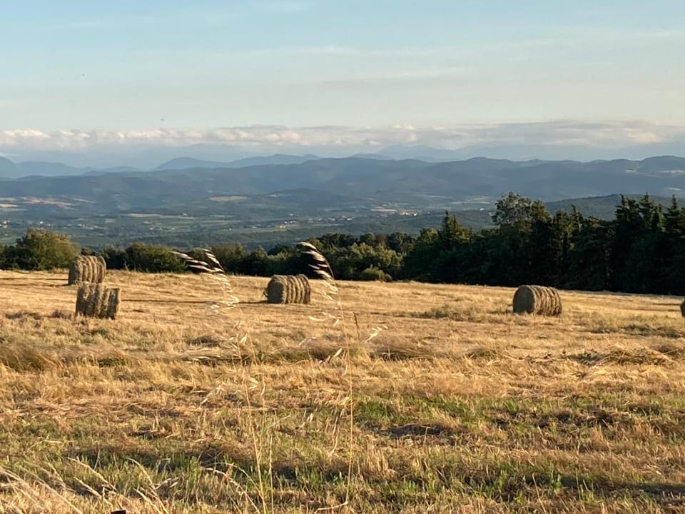 Natural landscape