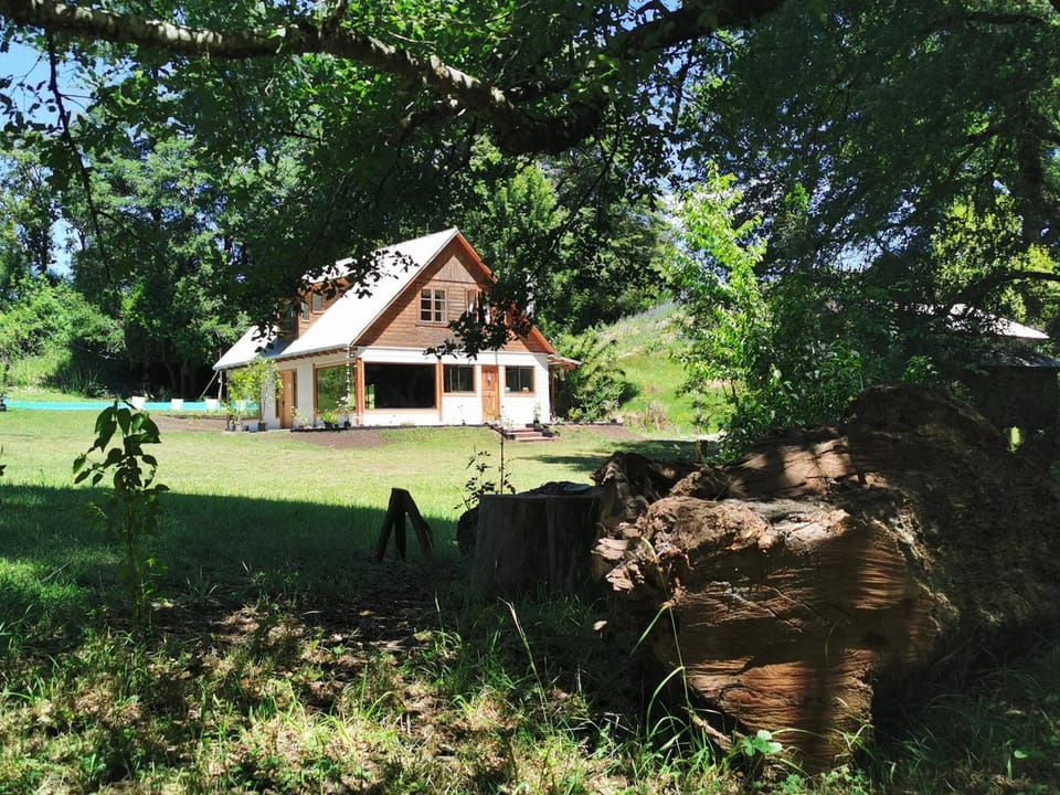 Natural landscape, Garden, Garden view