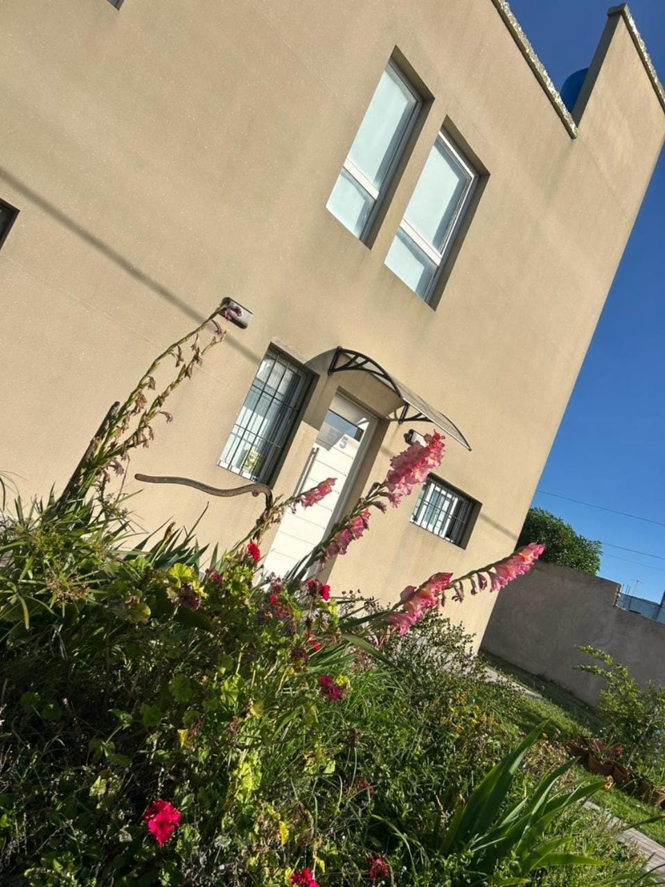 Property building, Spring, Day, Garden, Garden view
