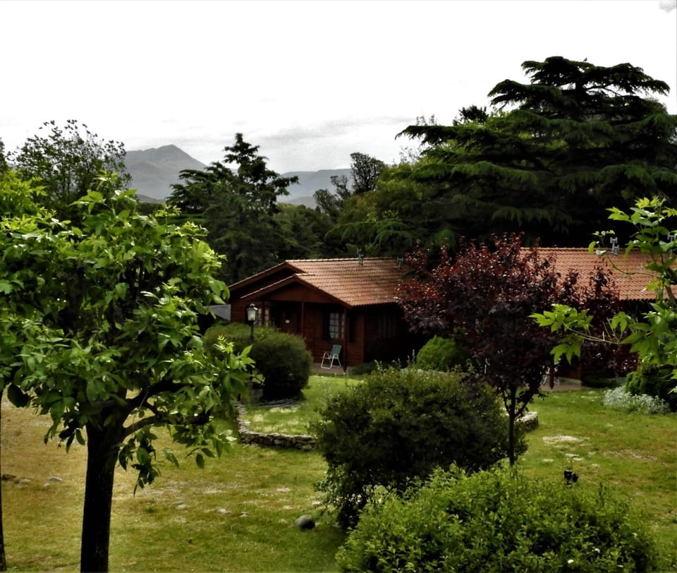 Property building, Day, Natural landscape, Garden, Garden view, Mountain view