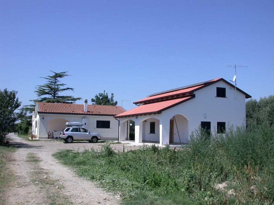 Property building, Nearby landmark, Garden, Pets