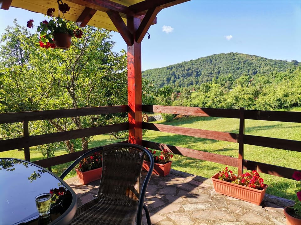 Srdića Kuća House in Zlatibor District, Serbia
