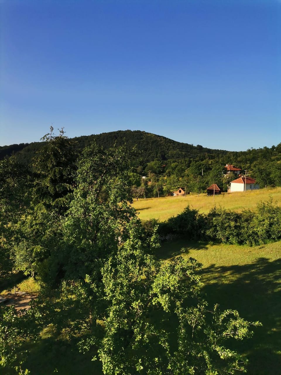 Srdića Kuća House in Zlatibor District, Serbia