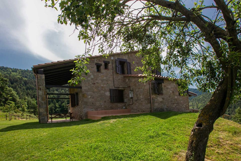 Property building, Spring, Day, Natural landscape, Garden, Garden view, Mountain view, Mountain view