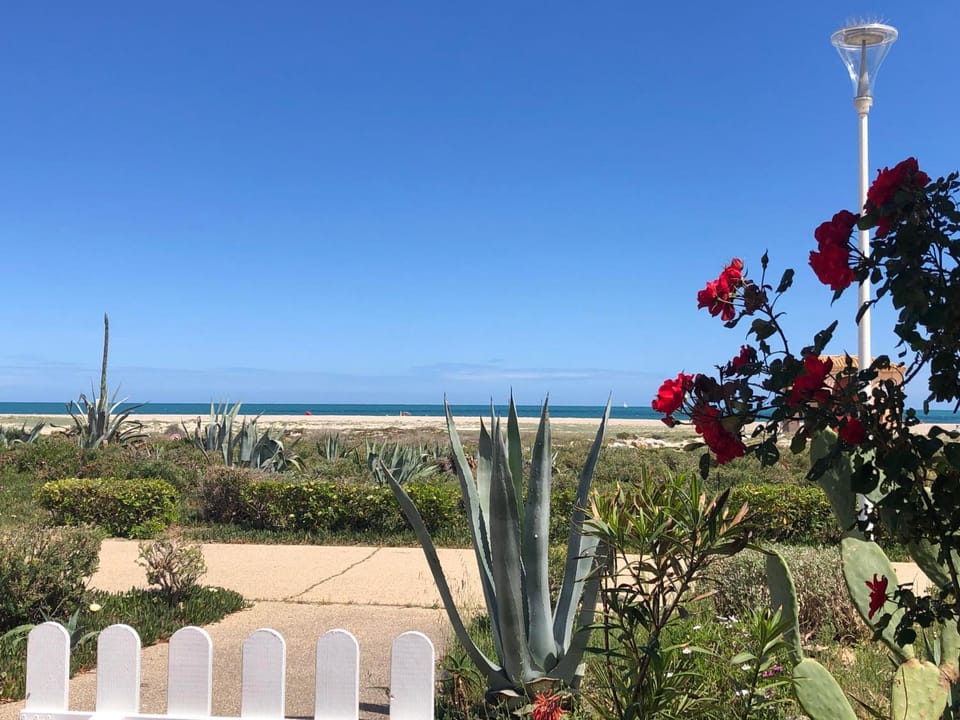 Patio, Sea view