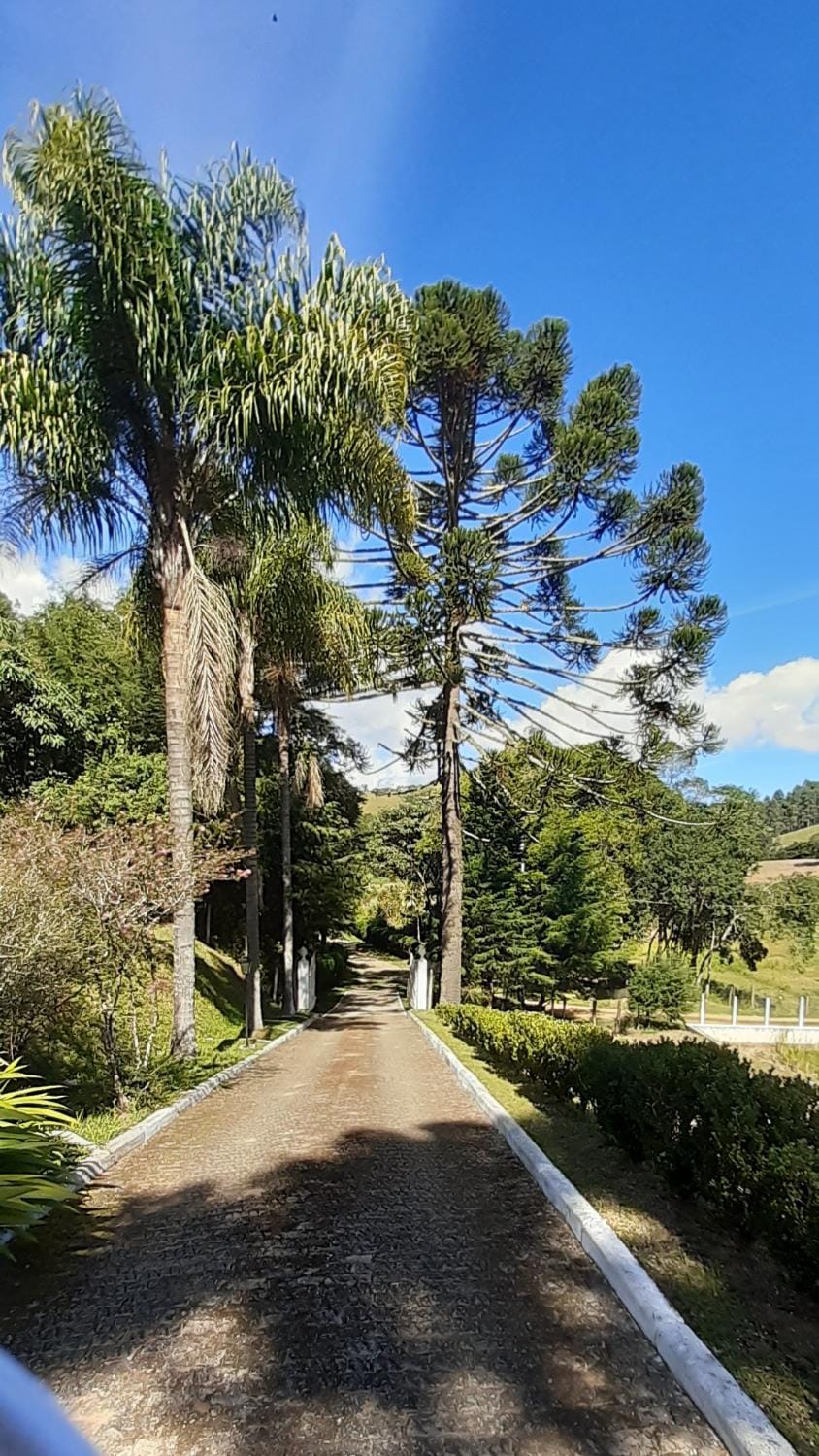 Pousada Pedacinho do Ceu - casa inteira House in State of São Paulo