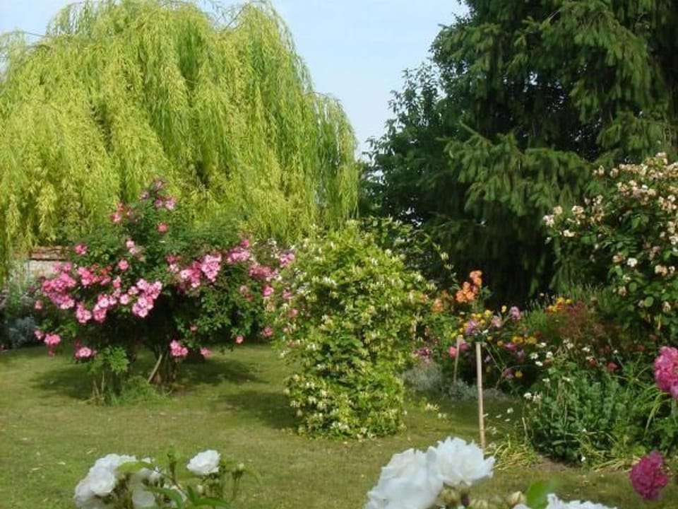 Charmant Gîte au Calme près de Pithiviers avec Jardin et Terrasse - FR-1-590-133 House in Centre-Val de Loire