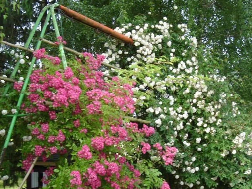 Charmant Gîte au Calme près de Pithiviers avec Jardin et Terrasse - FR-1-590-133 House in Centre-Val de Loire