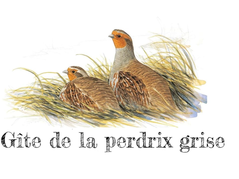 Charmante maison de campagne avec jardin privé, près de Paris et Orléans, idéale pour familles - FR-1-590-136 House in Centre-Val de Loire