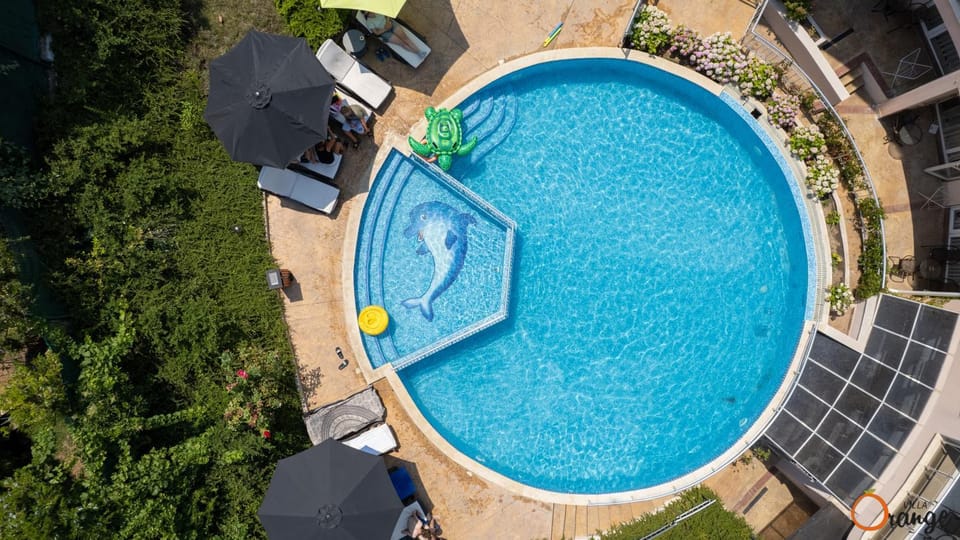 Day, Bird's eye view, Garden, Garden view, Pool view, Swimming pool, sunbed